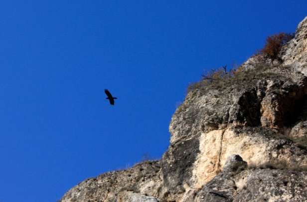 154124_1700526150122_1146977248_1944745_144394_n