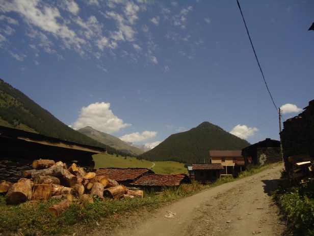 DSC01800