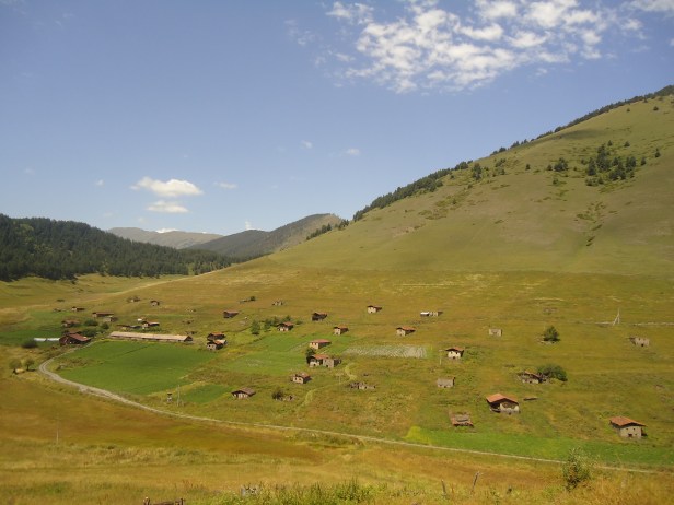 DSC01801