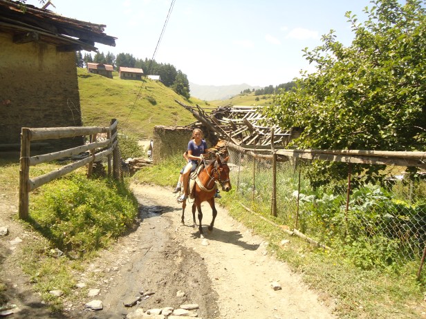 DSC01806