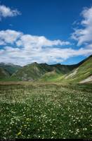 11756553_459088917597325_2117859454_n