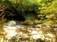 Optimized-Optimized-DSC02917